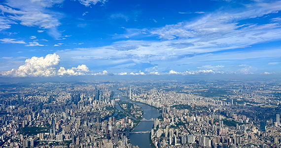 国外com域名查询网站官网