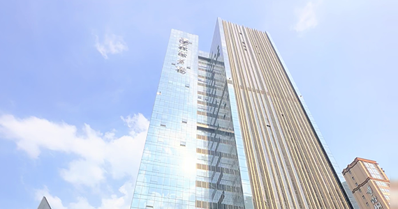 com域名查询大师免费版