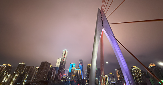 国外com域名查询网站