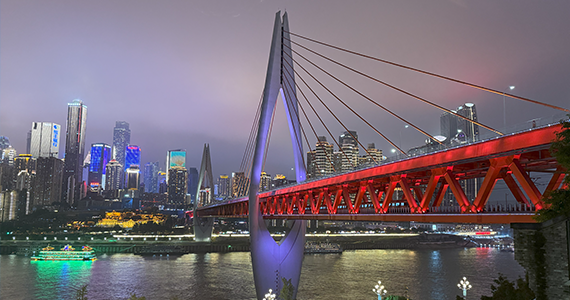 com域名查询大师下载