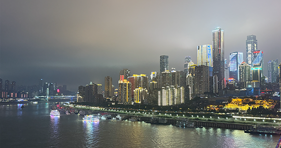 com828218信息域名查询